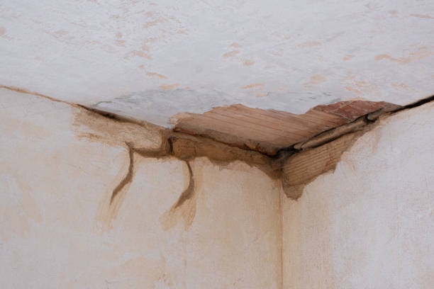 Trusted AR Water damage restoration Experts