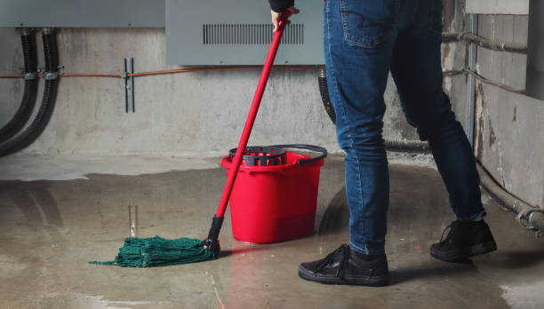 Best Water damage restoration company  in Wrightsville, AR