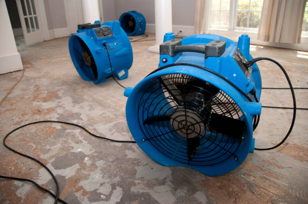 Best Water damage restoration cost  in Wrightsville, AR