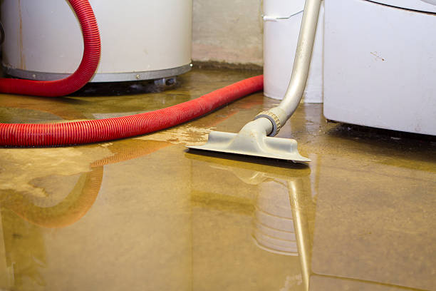 Best Water damage repair service  in Wrightsville, AR