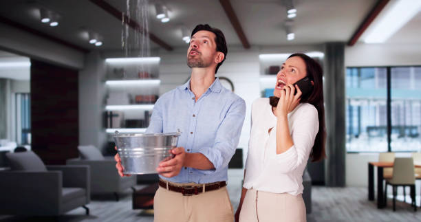Best Water damage restoration near me  in Wrightsville, AR