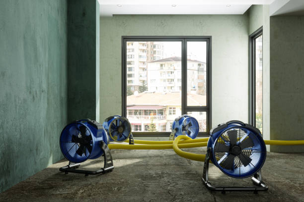  Wrightsville, AR Water damage restoration Pros